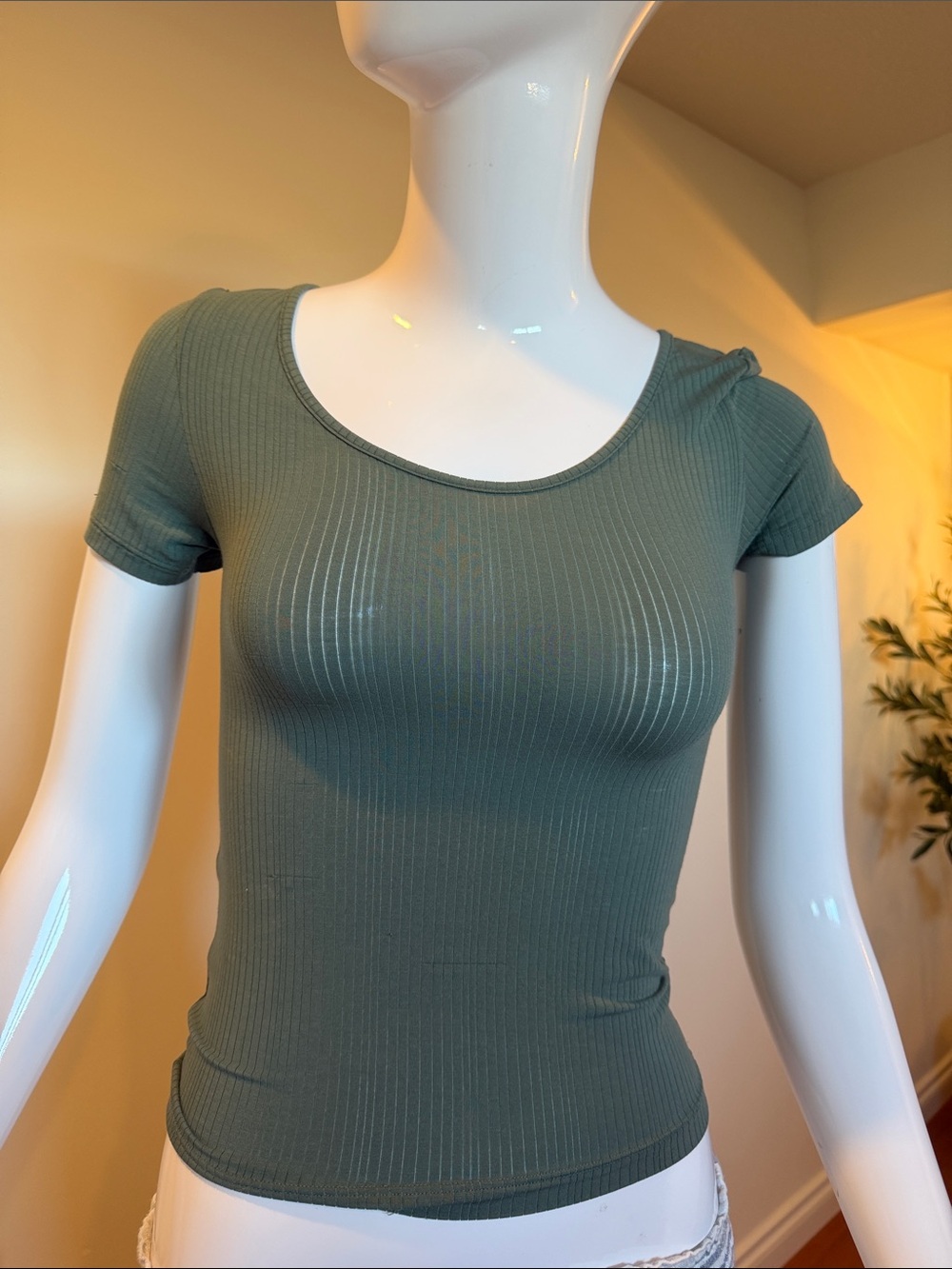 NWT Aerie Green Ribbed Modal Fitted T-Shirt Small